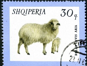 1966
