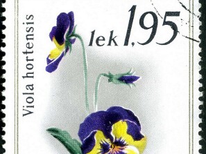 1967