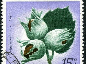 1969