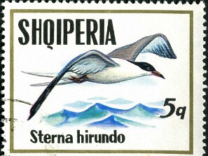 1973