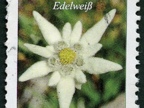 2006