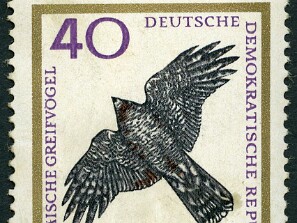 1965