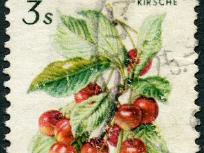 1966