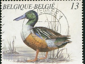 1989