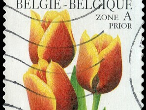 1999
