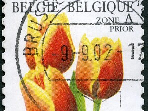 2000