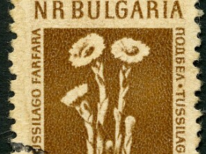 1953