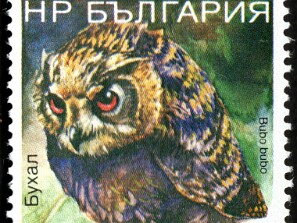1987