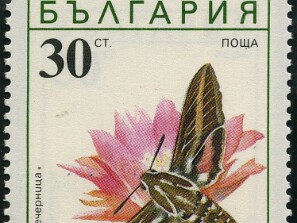 1990