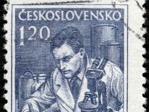 1954