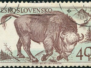1959