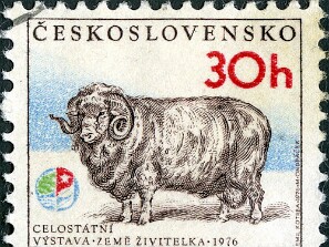 1976