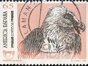 1993