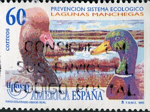1995