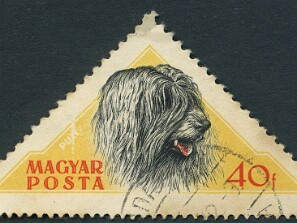 1956