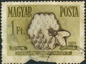 1958