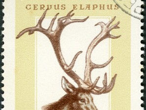 1964