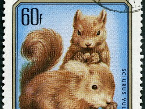 1976