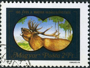 1981