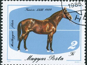 1985