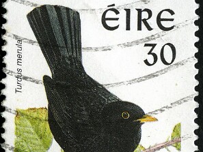 1997