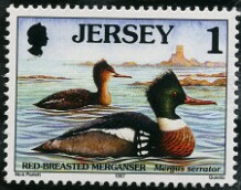 Jersey