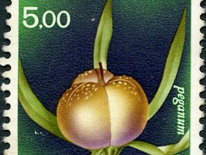 1966