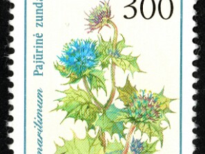 1992