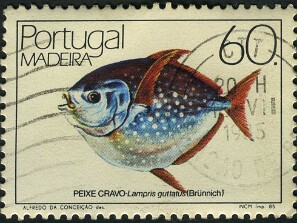 1985