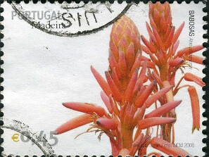 2006