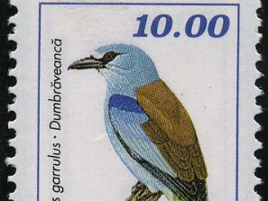Moldávia