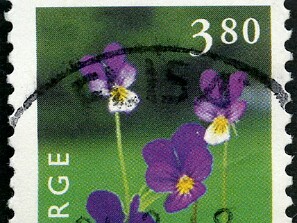 1998