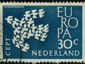 1961