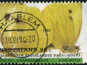 1993
