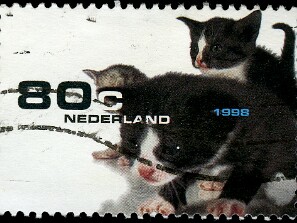 1998