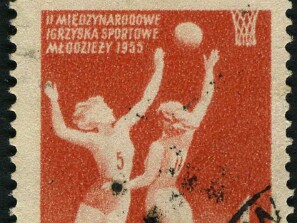 1955