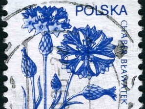 1989