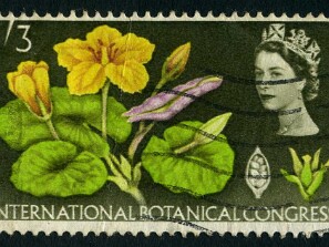 1964