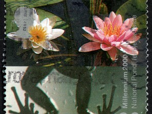 2000