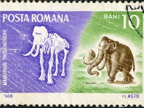 1966
