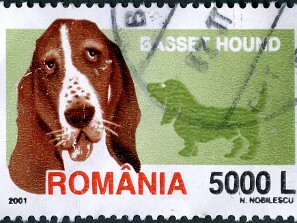 2001