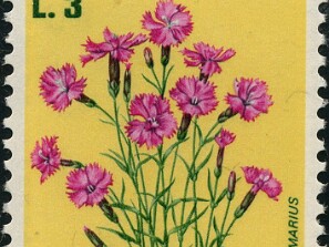 1971