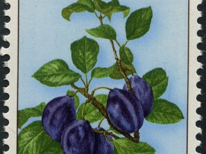 1973