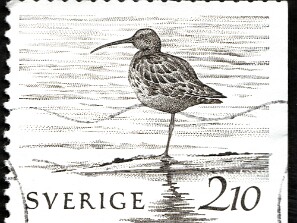 1992