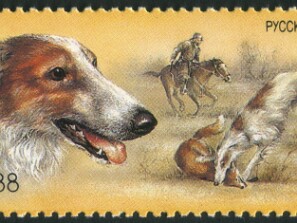 1988