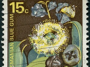 1968