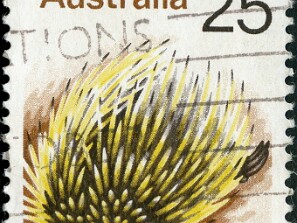 1975