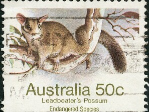 1980