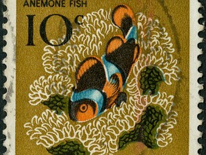 1993