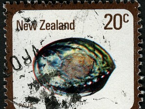 1978